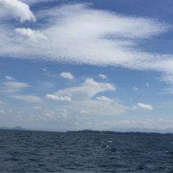 「LaGooN」蒼陽丸 日和号 釣果