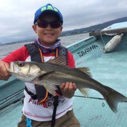 アマテラス 釣果