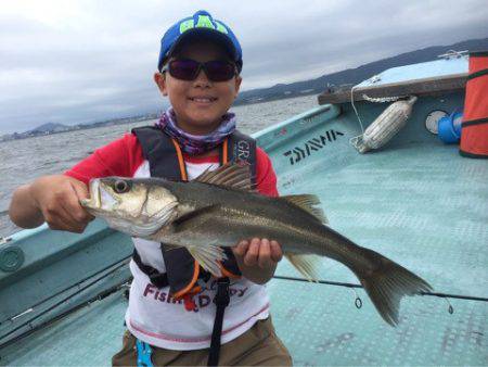 アマテラス 釣果