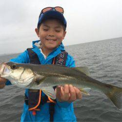 アマテラス 釣果