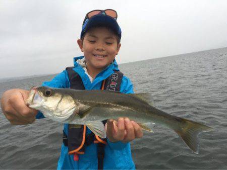 アマテラス 釣果