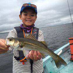 アマテラス 釣果