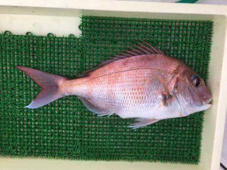 Ｖ−７ West 釣果