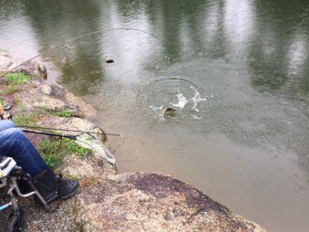 白州トラウトフィッシングエリア　シルフ 釣…