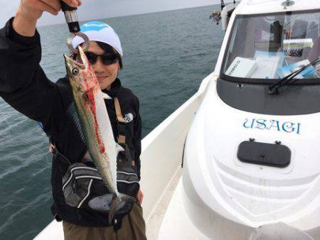 うさぎ丸 釣果