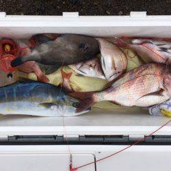 第二八坂丸 釣果