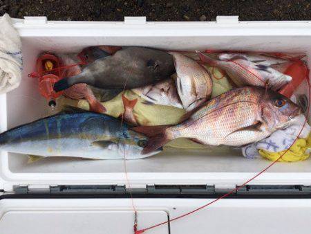 第二八坂丸 釣果