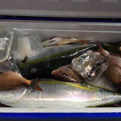 第二八坂丸 釣果