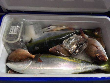 第二八坂丸 釣果