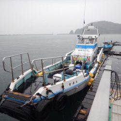 渡船屋たにぐち 釣果