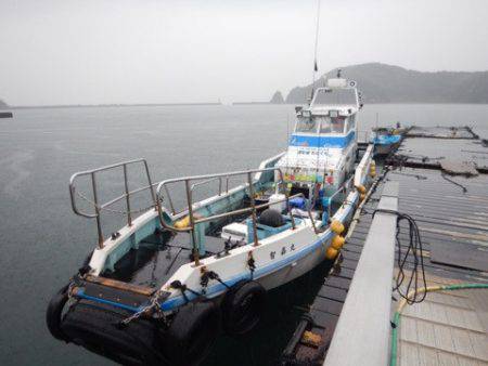渡船屋たにぐち 釣果