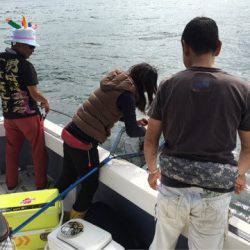 Ｖ−７ West 釣果