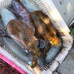 エヌスタイル 釣果