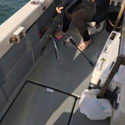 遊漁船 セトマリン 釣果