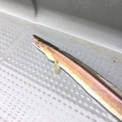 遊漁船 セトマリン 釣果