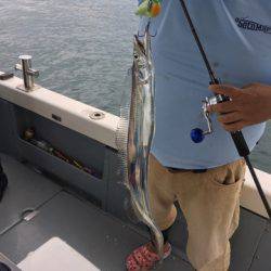 遊漁船 セトマリン 釣果