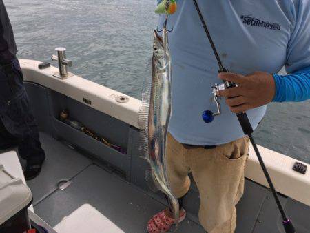 遊漁船 セトマリン 釣果