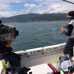 SeaRide(シーライド) 釣果