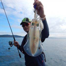 渡船屋たにぐち 釣果