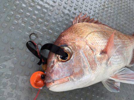 遊漁船 セトマリン 釣果