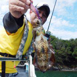 渡船屋たにぐち 釣果