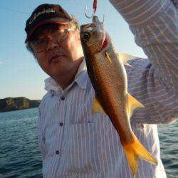 渡船屋たにぐち 釣果