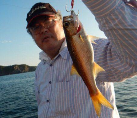 渡船屋たにぐち 釣果