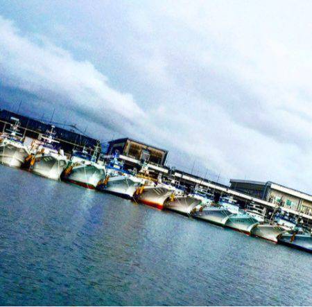 第二 海洋丸 釣果