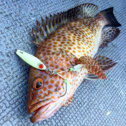 第二 海洋丸 釣果