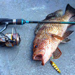 第二 海洋丸 釣果