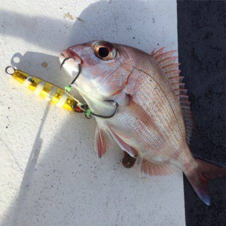 第二 海洋丸 釣果