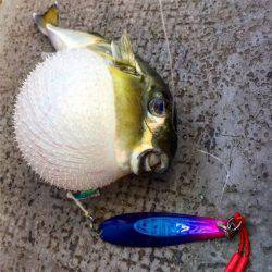 第二 海洋丸 釣果