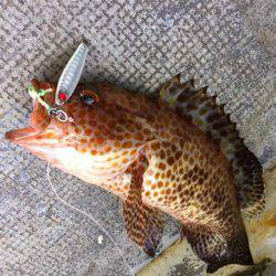 第二 海洋丸 釣果