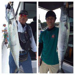 ビッグファイター 釣果