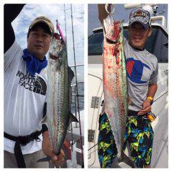 ビッグファイター 釣果