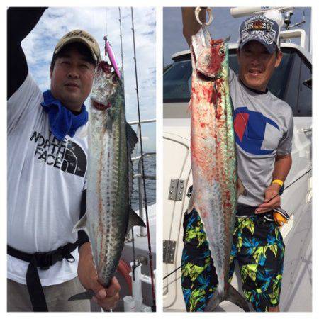 ビッグファイター 釣果