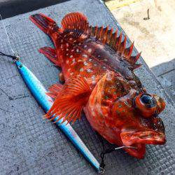 第二 海洋丸 釣果