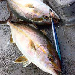 第二 海洋丸 釣果