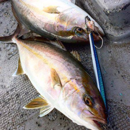 第二 海洋丸 釣果