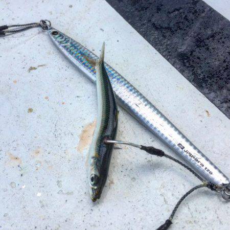 第二 海洋丸 釣果