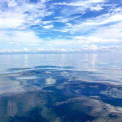 第二 海洋丸 釣果