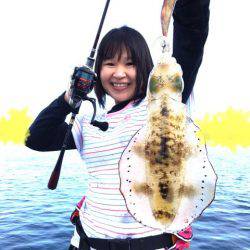 エヌスタイル 釣果