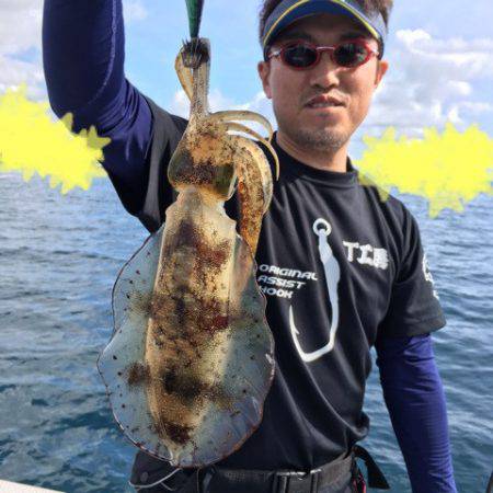 エヌスタイル 釣果