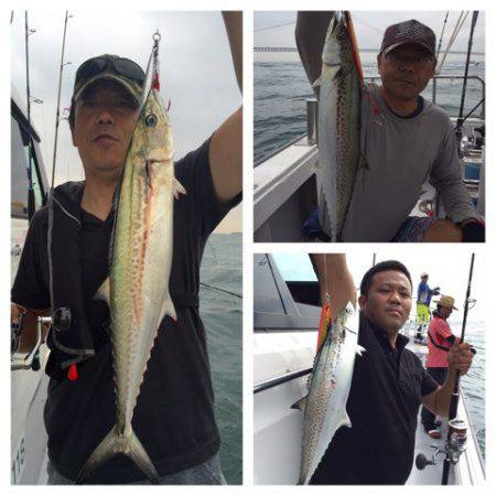 ビッグファイター 釣果