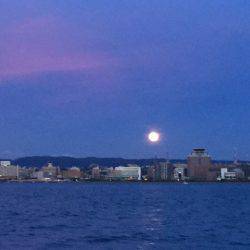 第二 海洋丸 釣果