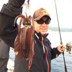 エヌスタイル 釣果