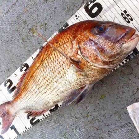 第二 海洋丸 釣果