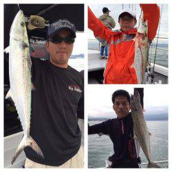 ビッグファイター 釣果