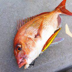 第二 海洋丸 釣果