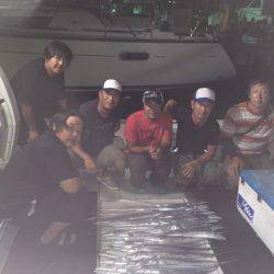 エムズジャーク（M’s JERK） 釣果